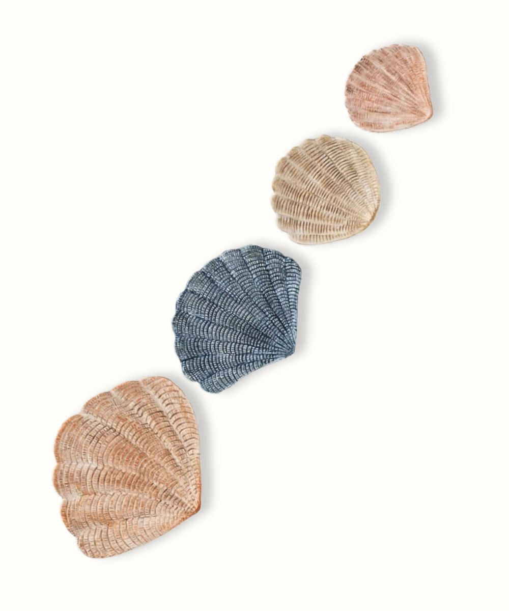 Set of 4 Coastal Seashell Decorative Dishes