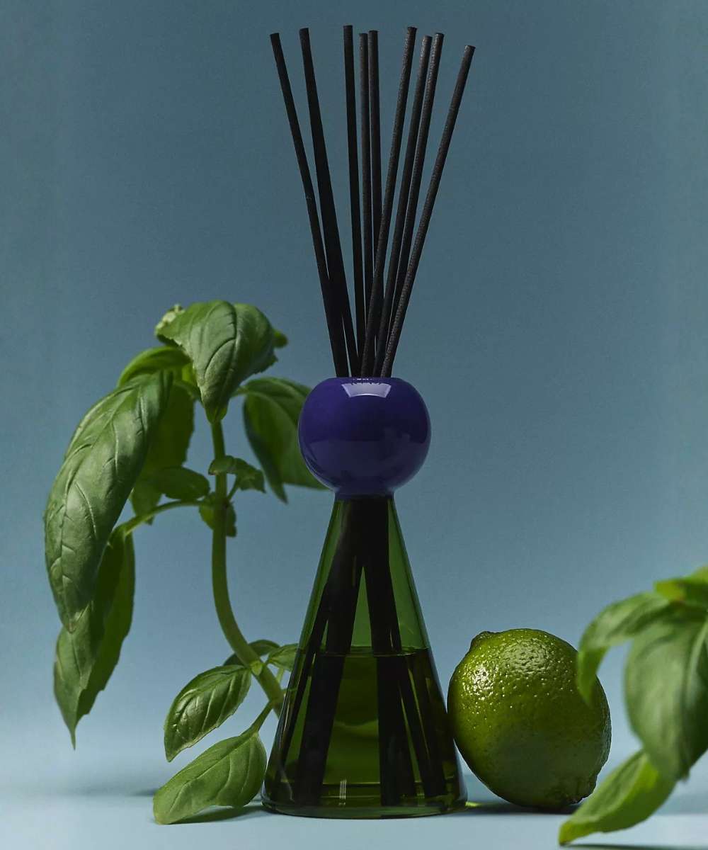 Wxy. Fresh Basil & Sweet Lime Disco Reed Diffuser