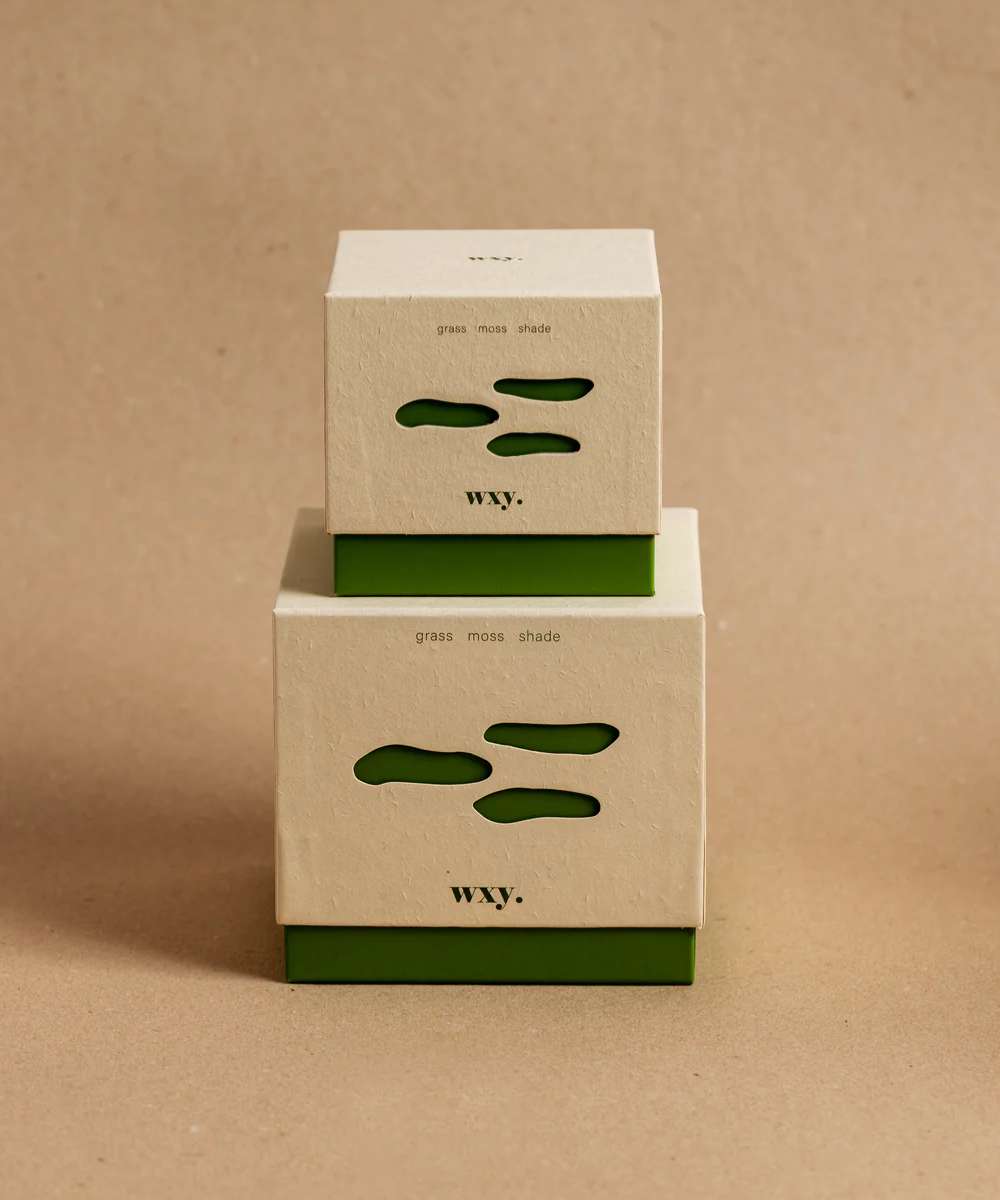 Wxy. Roam Grass. Moss. Shade. Glass Candle
