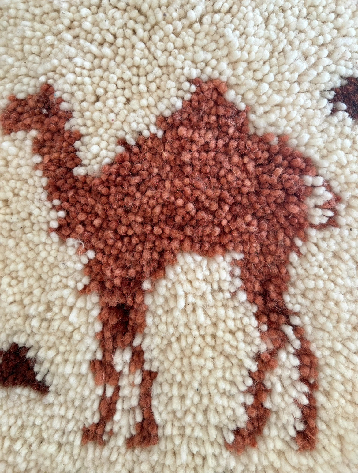 The 'Camel’s Dream' Pillow Case: Dyed with Madder Roots & Walnut Shells