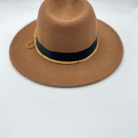 Elegant brown fedora