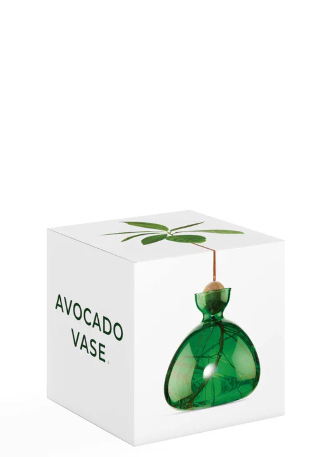 Avocado Vase Emerald Green