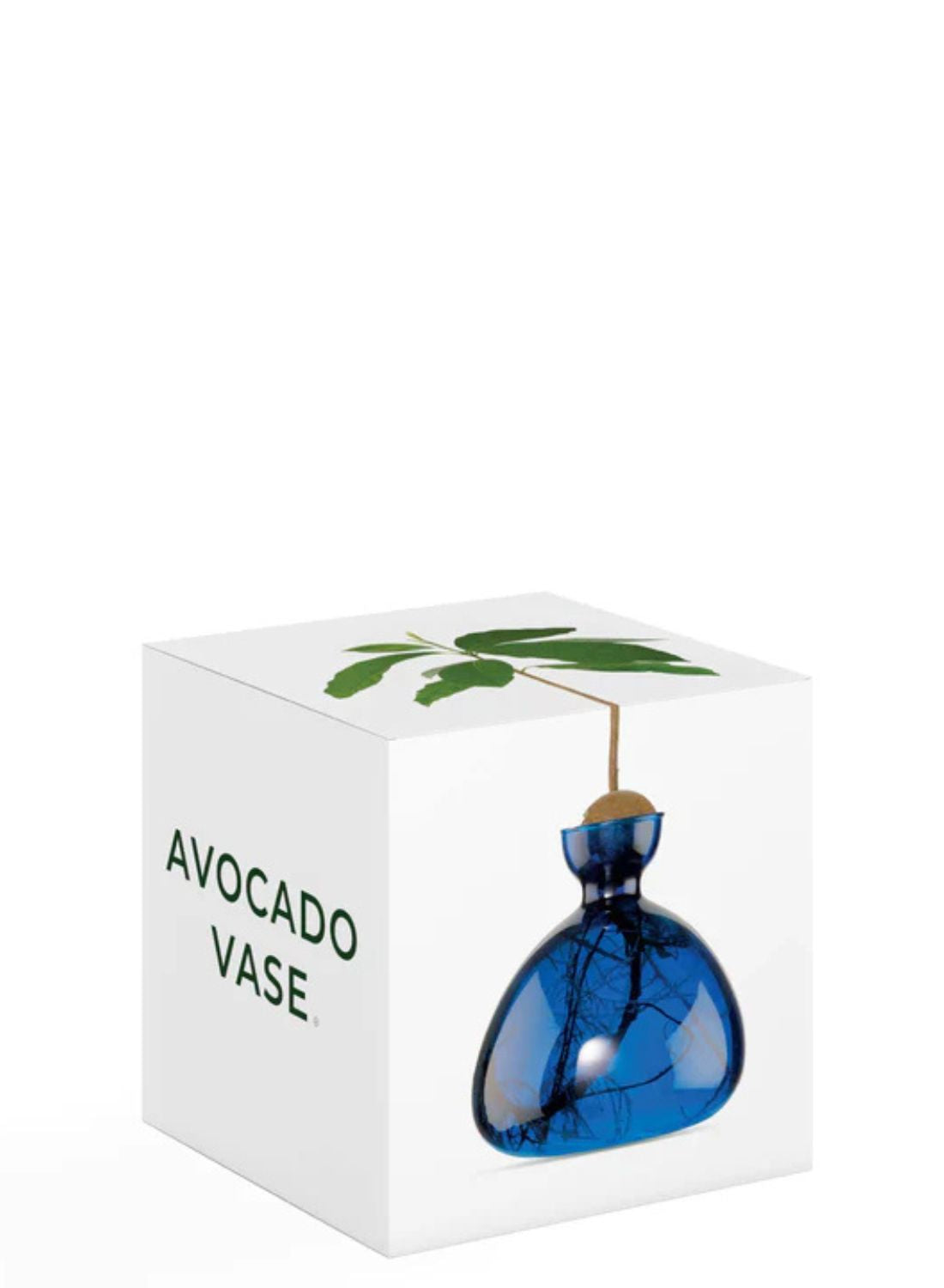 Avocado Vase Lapis Blue