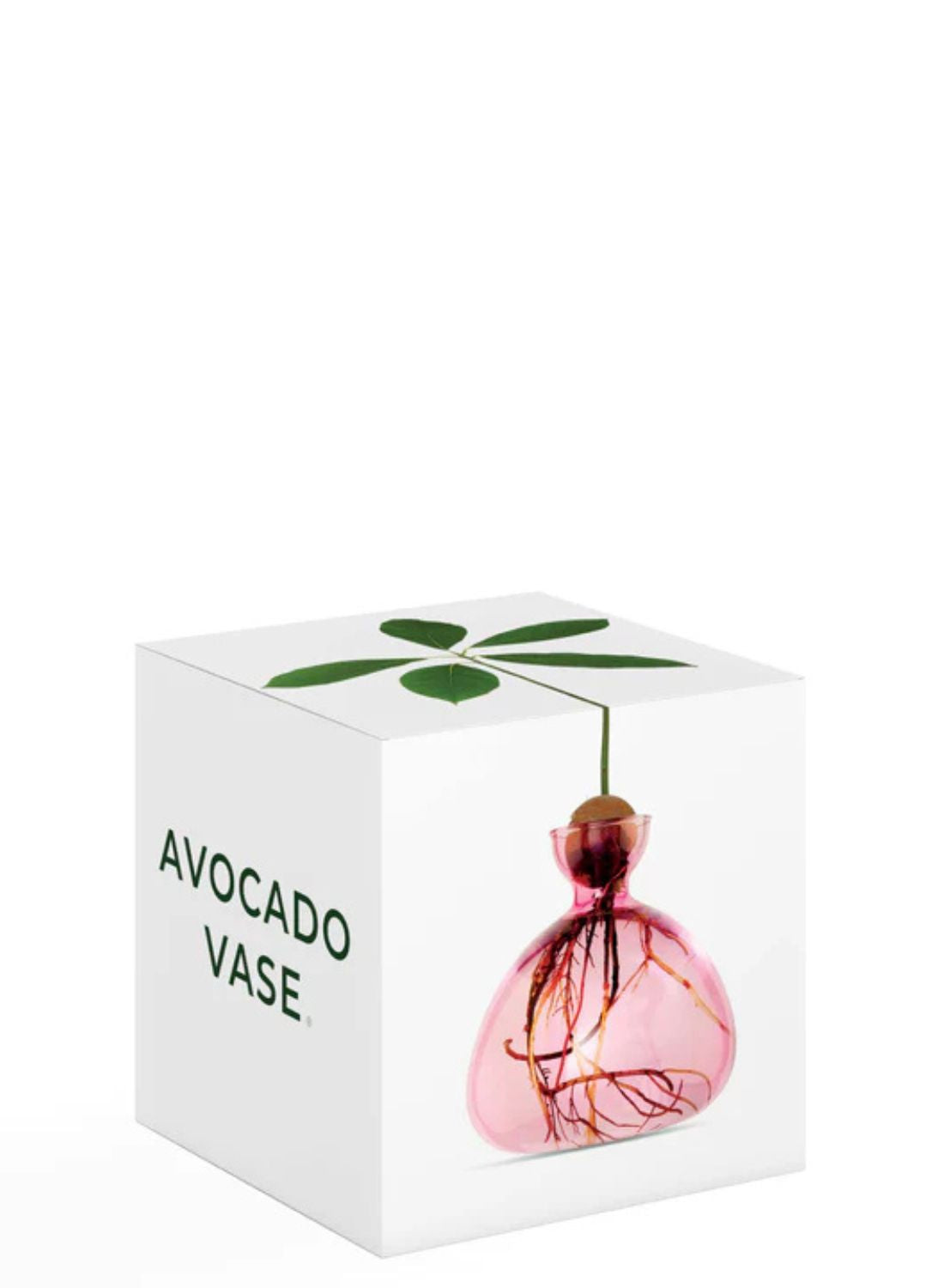Avocado Vase Rose pink