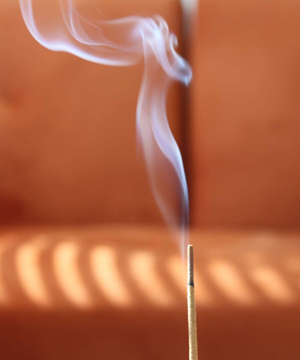 MÆGEN Incense Sticks - Palo Santo (25 Pack)