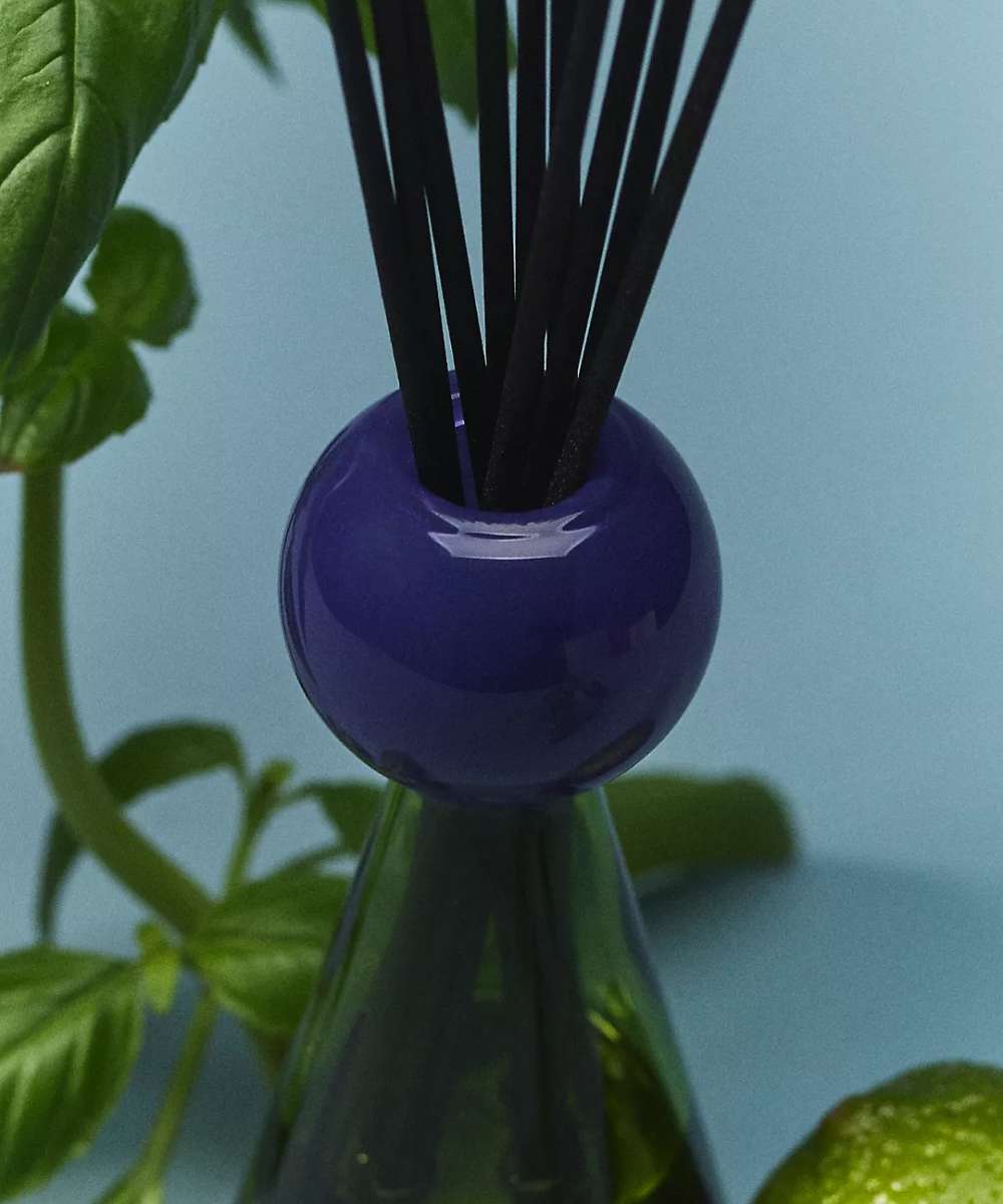 Wxy. Fresh Basil & Sweet Lime Disco Reed Diffuser
