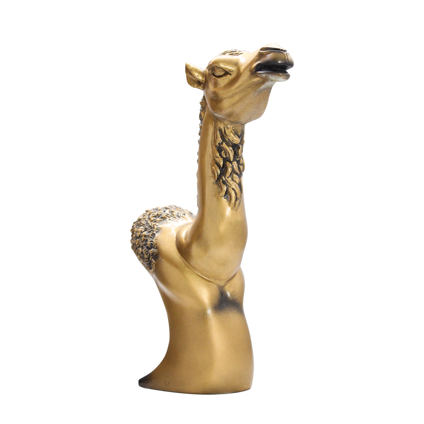 Arabian Camel Bust – Gold Antique Finish Souvenir