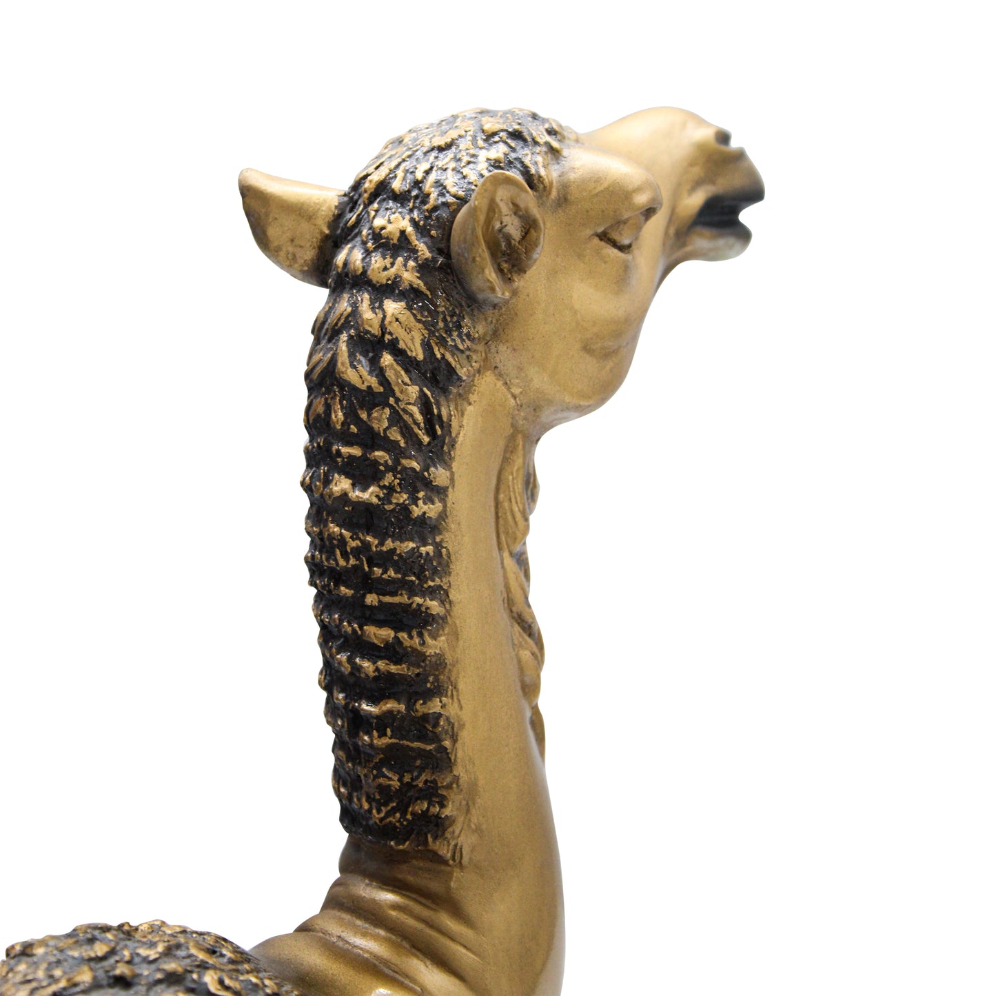 Arabian Camel Bust – Gold Antique Finish Souvenir