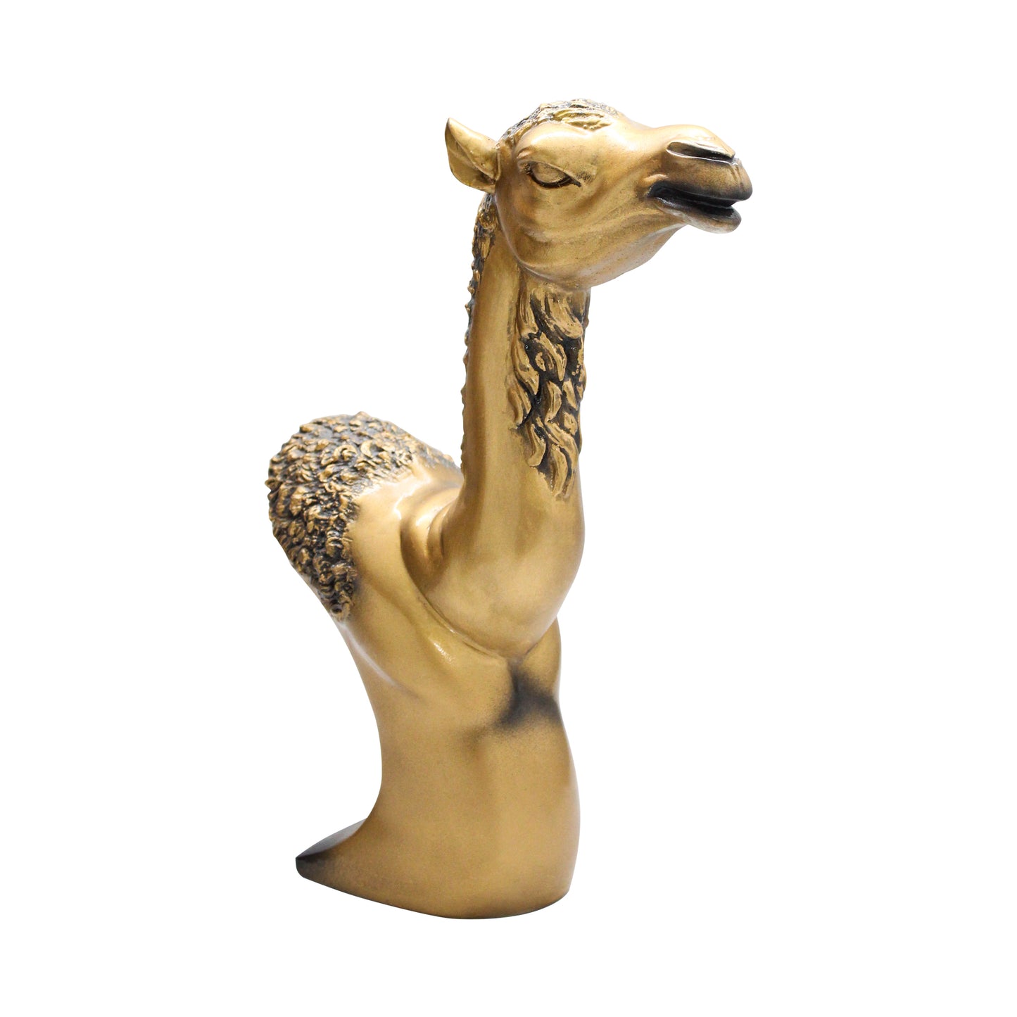 Arabian Camel Bust – Gold Antique Finish Souvenir