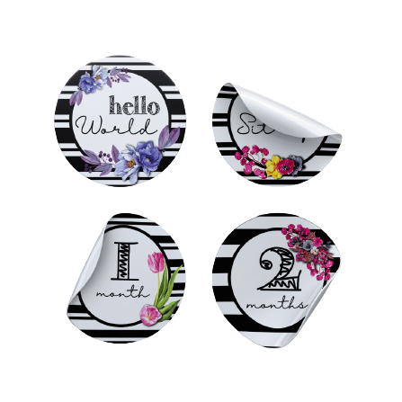 B&W Stripes and Flowers Milestone Stickers