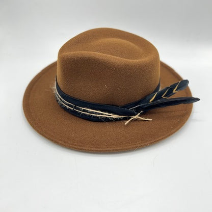 Brown unique fedora with black strap and feather