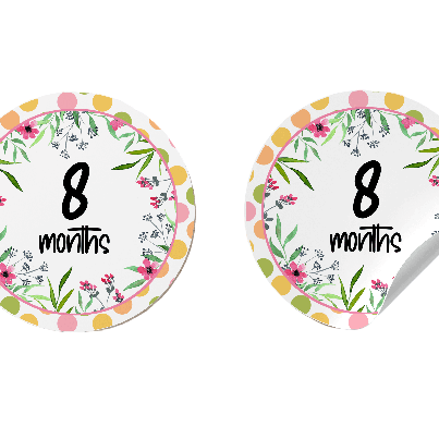 Dainty Pink Milestone Stickers