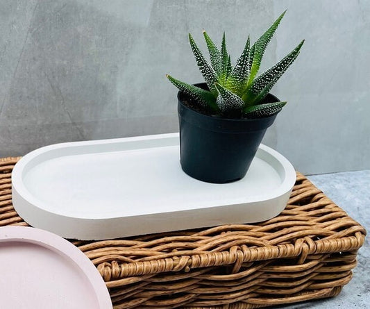 Decorative Oval Trinket Tray / Soap Dish. ( white) can be combined with Shell Tray