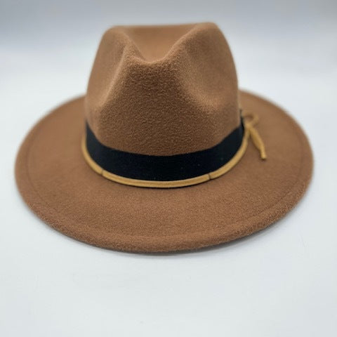 Elegant brown fedora