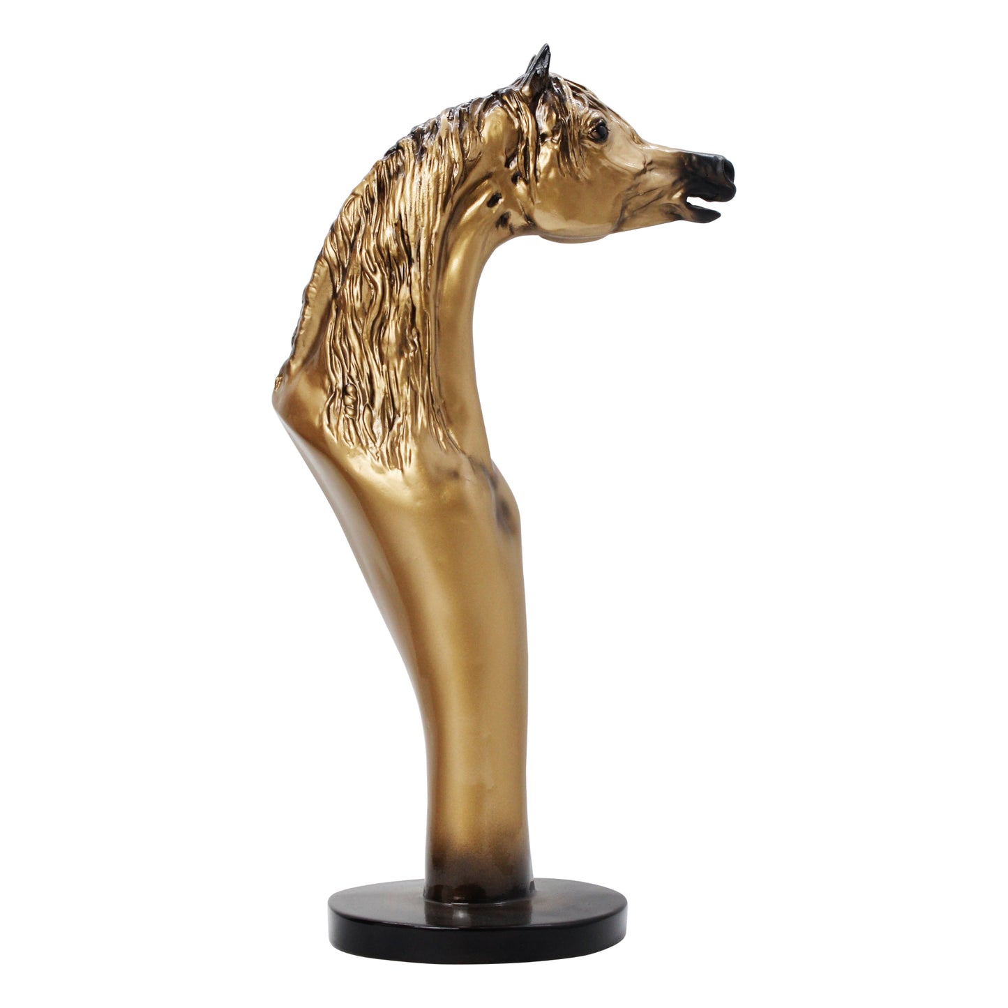 Majestic Arabian Horse Bust