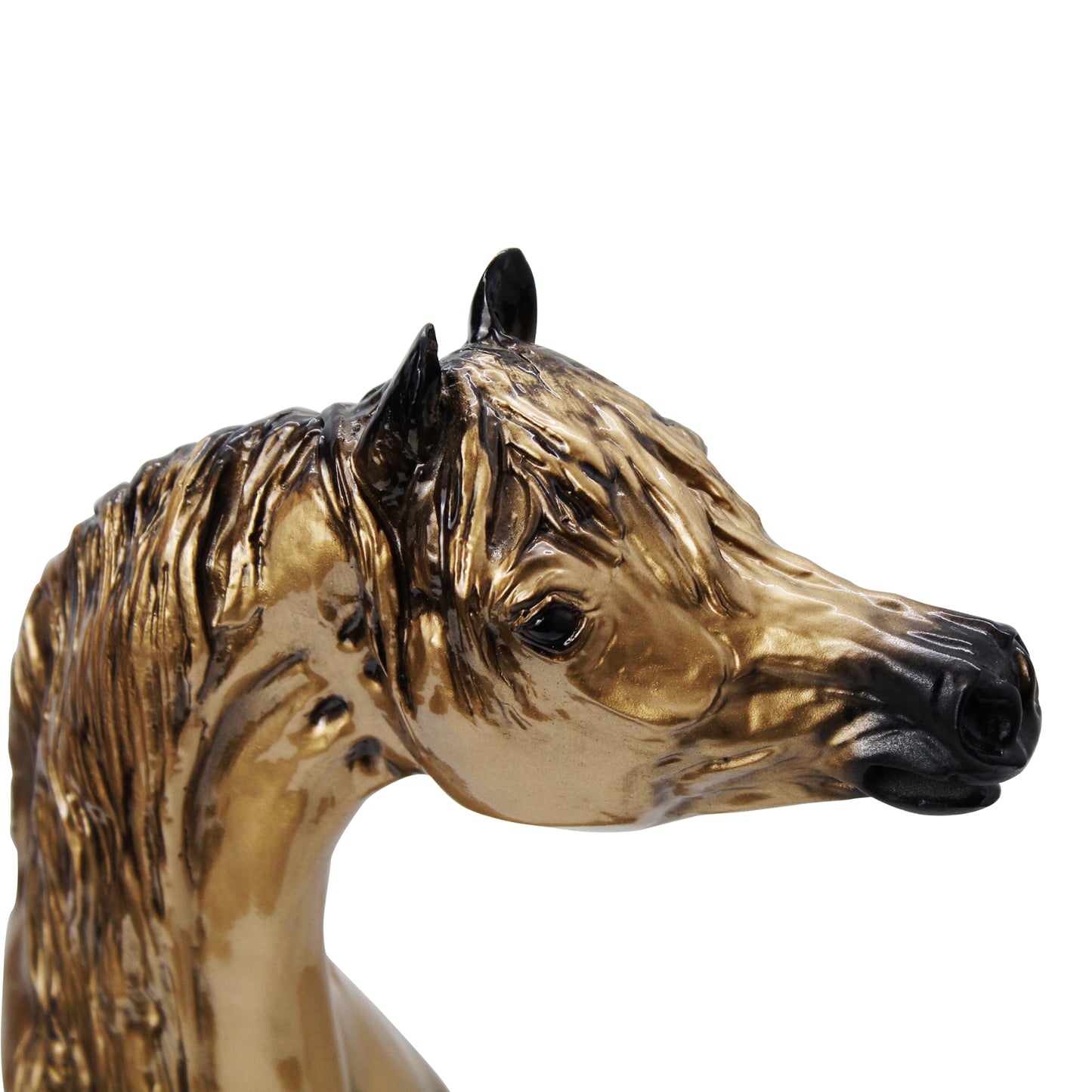 Majestic Arabian Horse Bust