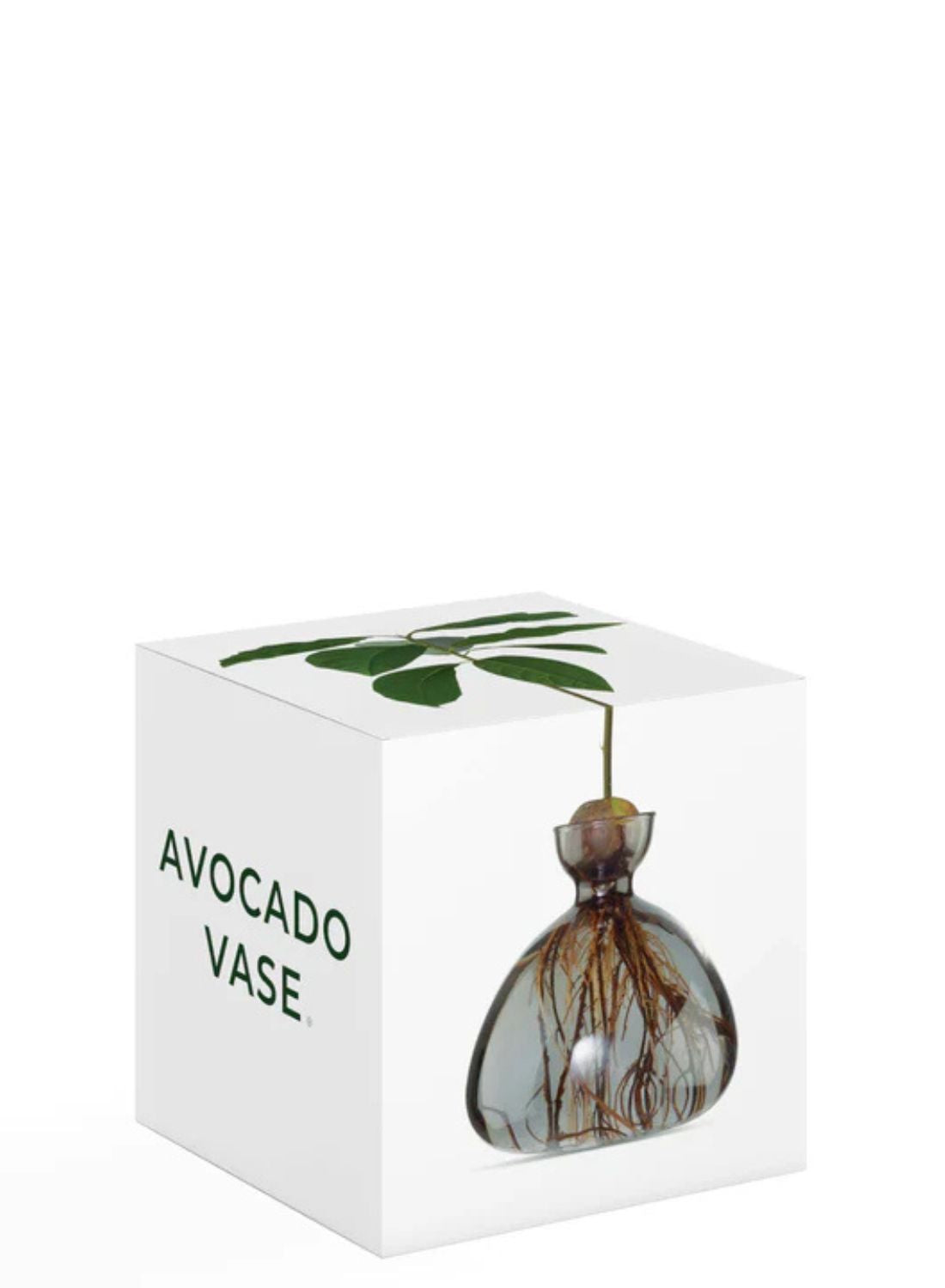 Avocado Vase Smoked Grey