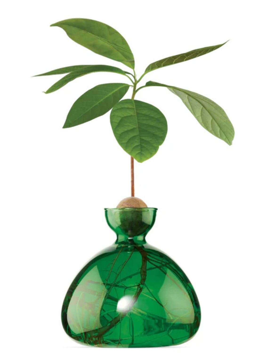 Avocado Vase Emerald Green