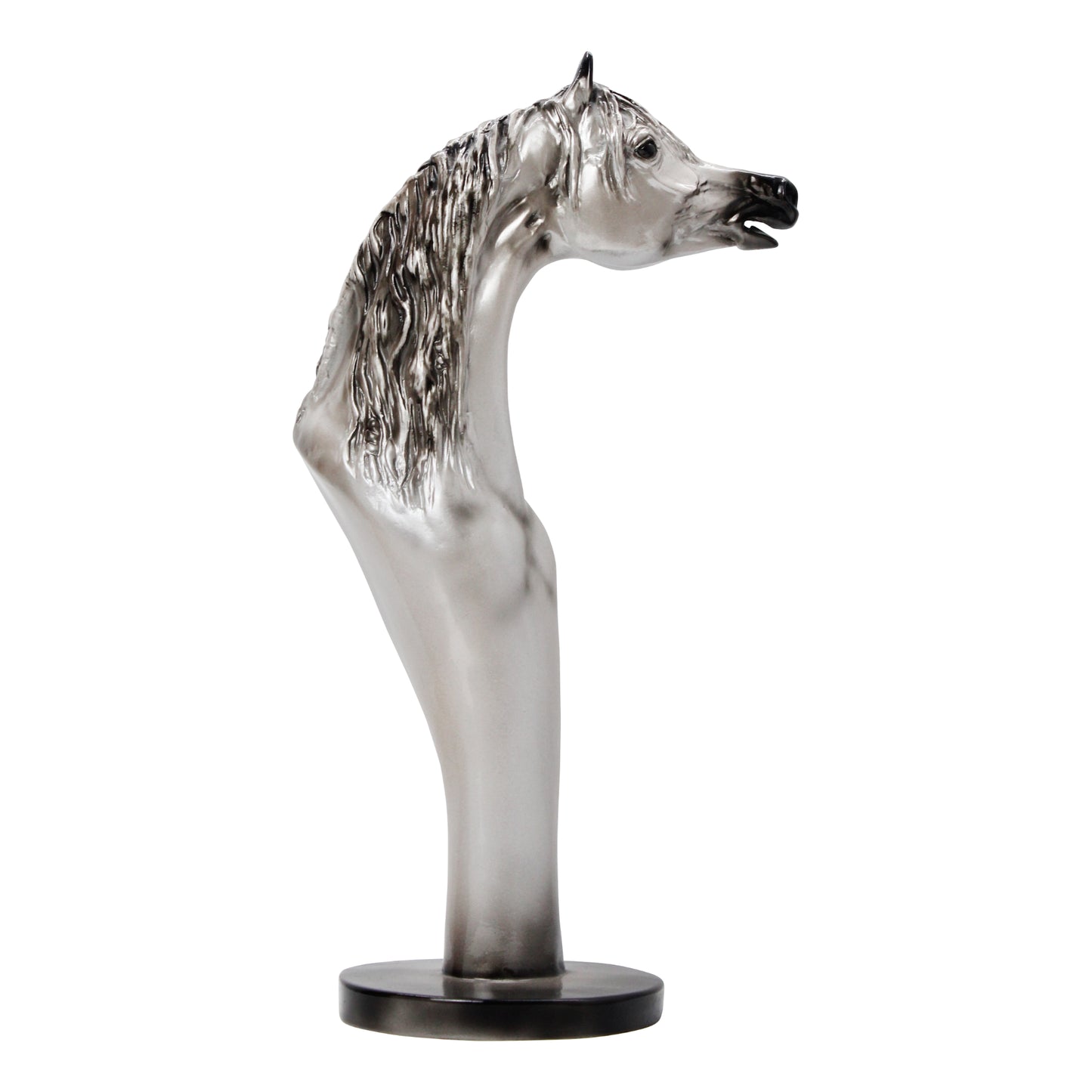 Majestic Arabian Horse Bust