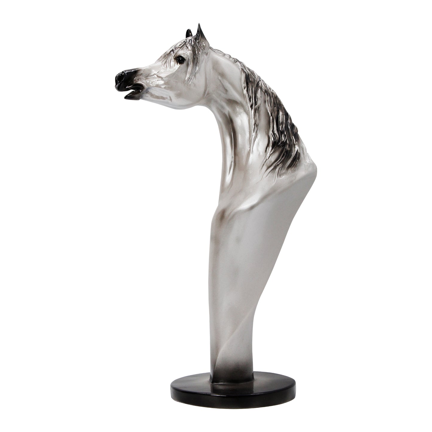 Majestic Arabian Horse Bust