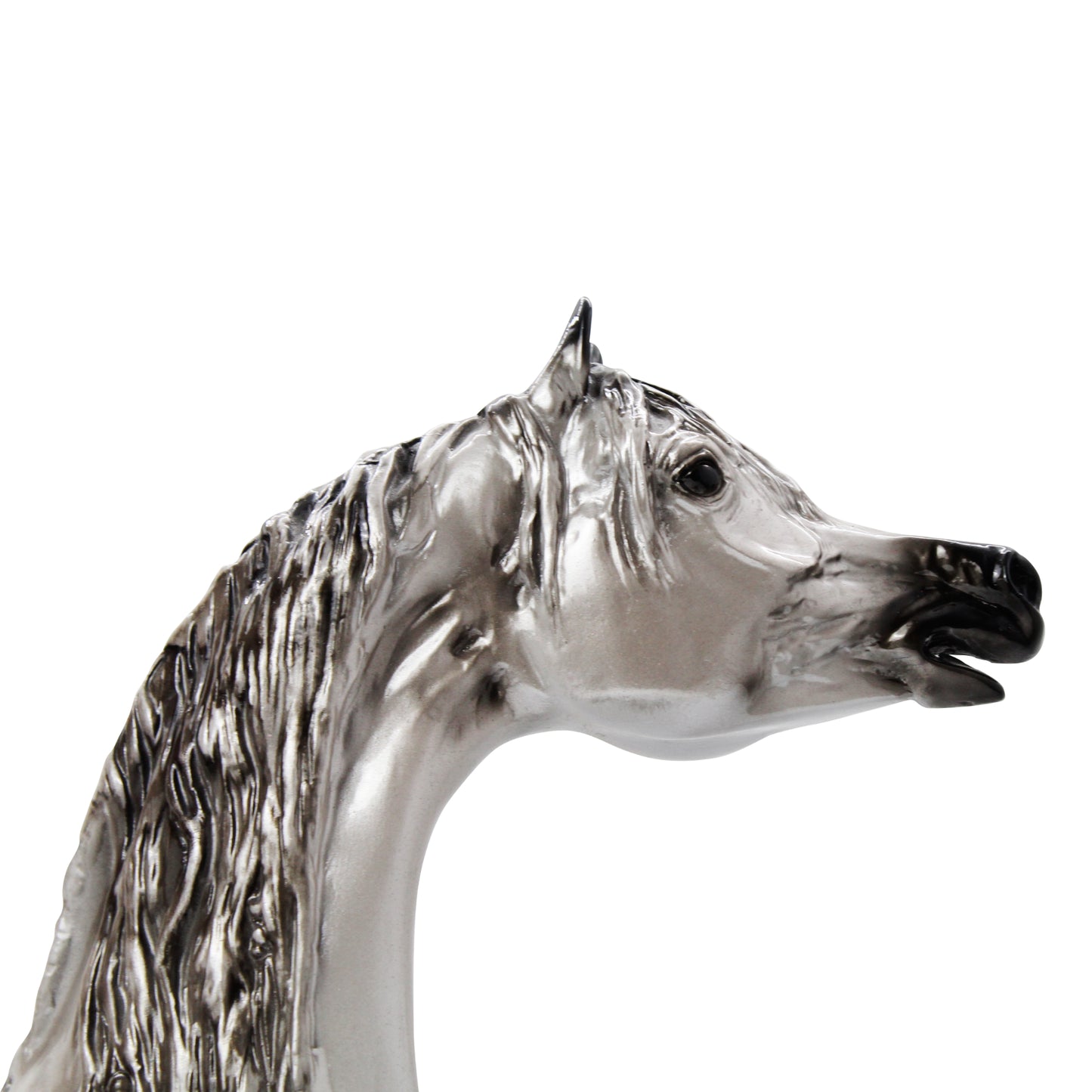 Majestic Arabian Horse Bust