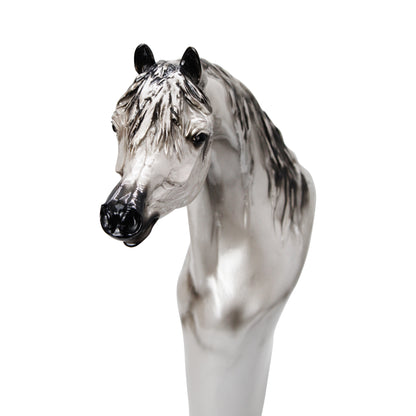 Majestic Arabian Horse Bust