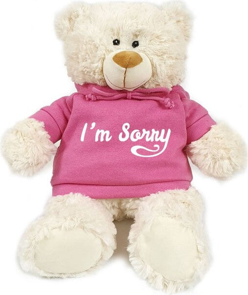 Supersoft, cuddly teddy bear with trendy pink hoodie. I'm Sorry. Ideal for love messages, Valentine's Day, friendship, husband, wife, marriage,