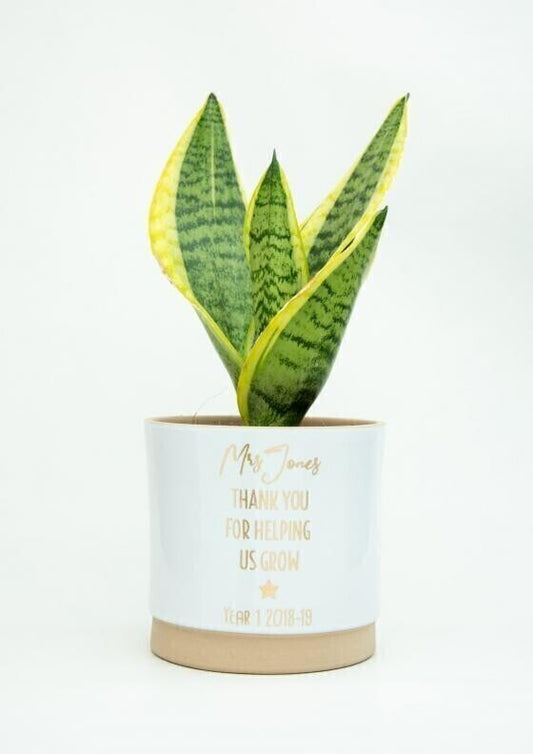 Teacher's Gift - Personalised plant pot