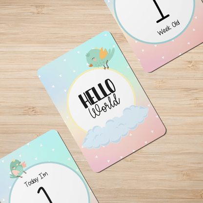 Twinkle Birds Baby Milestone Cards - Set of 25