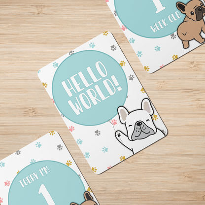 Twinkle Paws Baby Milestone Cards - Set of 25