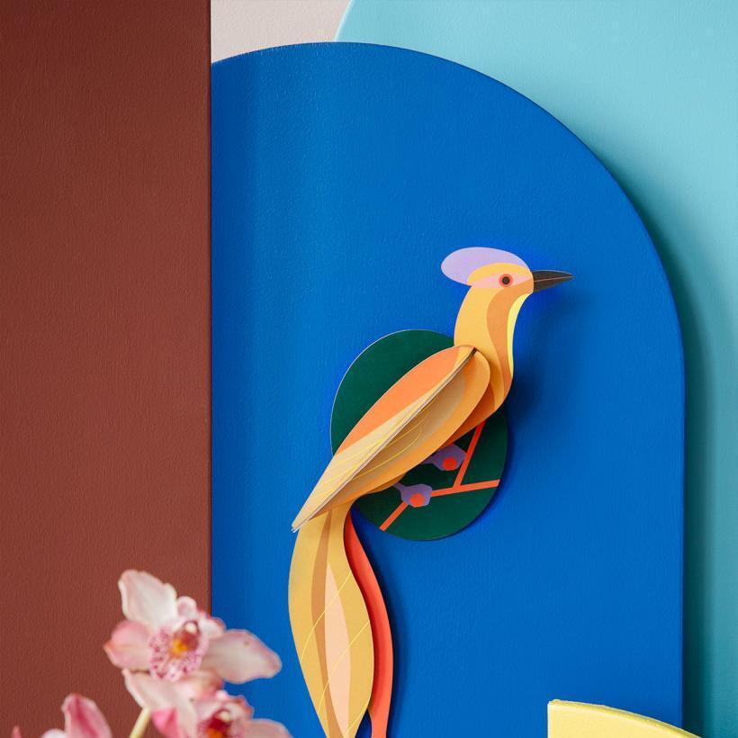 Olango Paradise Bird – Wall Art