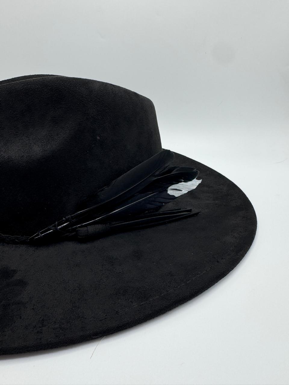 Wide brim black fedora with black and silver feathers